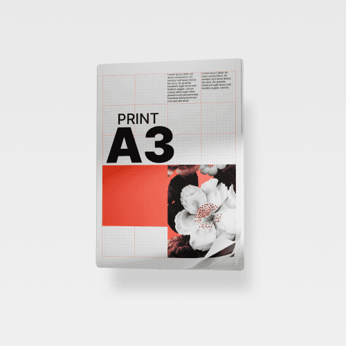 A3 Plus / Print A3 Color